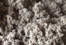 Pagosa Springs Loose-fill Insulation