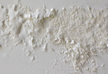 Pagosa Springs drywall mold removal